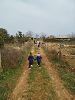 La chasse au trésor des farfadets